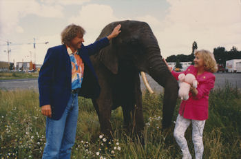 Brink Elefant